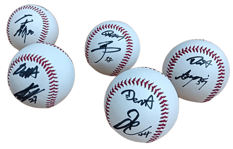 熱釣プロ野球2026』横浜DeNAベイスターズ放送記念プレゼント応募フォーム