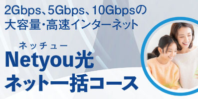 Netyouネット一括コース