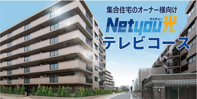 Netyou光テレビコース