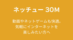 ネッチュー30M
