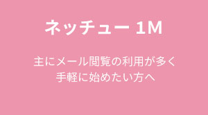 ネッチュー1M