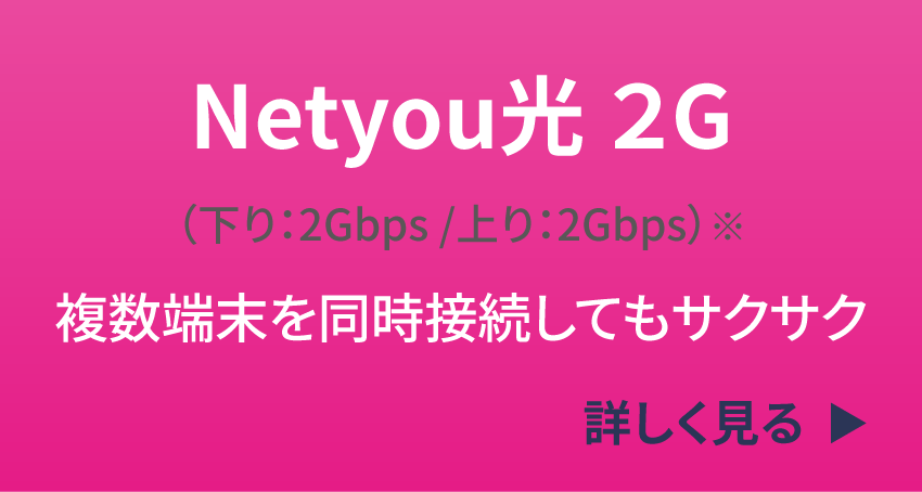 Netyou光2GB