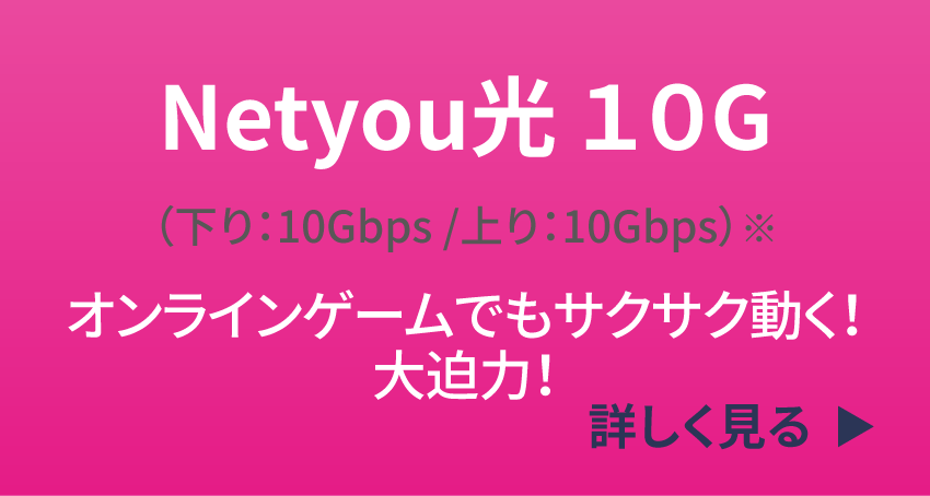 Netyou光10GB