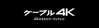ケーブル4K