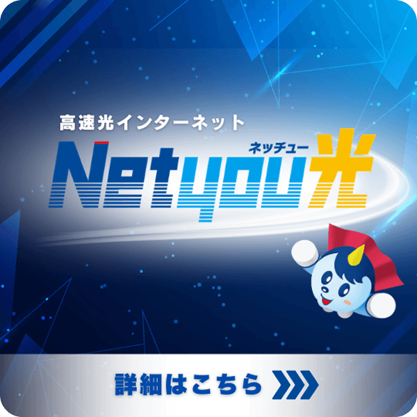 高速光インターネット ネッチュー光